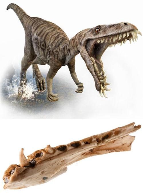 Масіаказавр