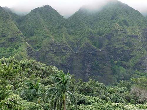 Вайпугія, або «перевернутий» водоспад (Waipuhia, Upside Down Falls), острів Оаху, Гаваї