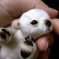Топ-10 миниатюрных животных