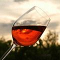 10 лучших районов виноделия