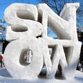 Вражаючі скульптури із криги і снігу